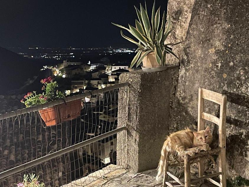 B&B Dhafna Чивита Экстерьер фото